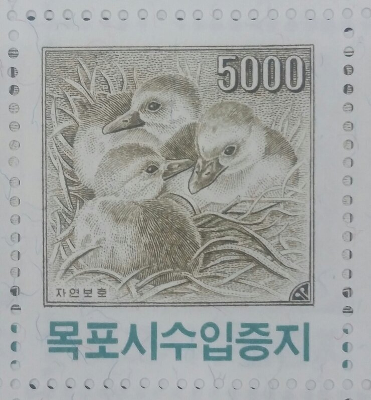 목포시수입증지(5,000원권)