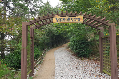 양을산산림욕장