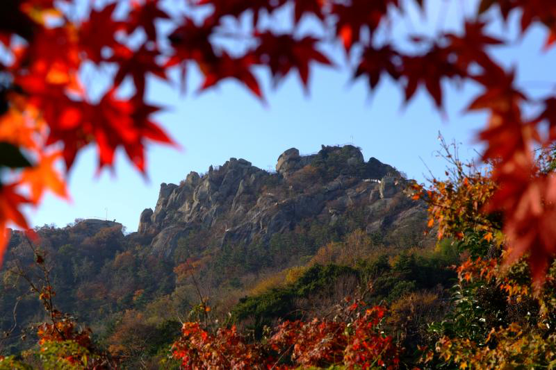 유달산 가을